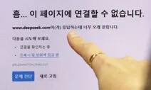 현대차도 딥시크 차단…개보위 “무슨 데이터 가져가나 확인 중”