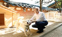 동물단체들, 문 대통령 ‘개 식용 금지 검토’에 “더 없이 반가운 소식”