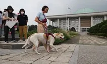 국회 간 도담이와 바겐이…“반려견과 식용견, 따로 있나요” [포토]