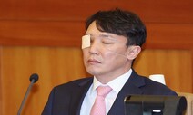 탄핵심판 이정섭 검사 쪽 ‘처남댁’ 조국당 대변인 증인채택 반대