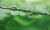 서양화가 이영수 개인전 ‘Gems found in nature’