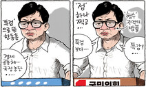 ‘형수’의 유혹, 왜 나는 너를 만나서~ [한겨레 그림판]