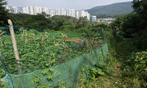 서초 서리풀지구 그린벨트 풀린다…수도권에 5만가구 공급