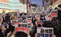 전국서 탄핵 함성 “5개월 임산부다…이런 나라서 어떻게 아이 키우나”