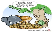 참나무 키우는 다람쥐의 건망증