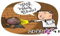 검정콩의 효능, 과학적으로 증명하다!