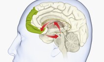 “모든 자극과 쾌락 중단” ‘도파민 단식’ 눈길