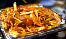 [ESC] 살 오른 가물치로 만든 불고기 맛보셨나요?