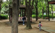 ‘벌목 논란’ 서울 양천구청 “파리공원 큰 나무들 존치”