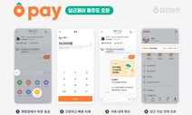 결제 서비스 ‘당근페이’ 선보인 당근마켓…‘흑자 전환’ 길 열릴까