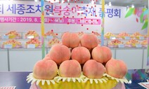 3년 만에 대면으로…세종 조치원복숭아축제 열린다