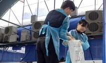 국내 수산물 절반 유통 부산시, 오염수 방류 앞두고 ‘분주’