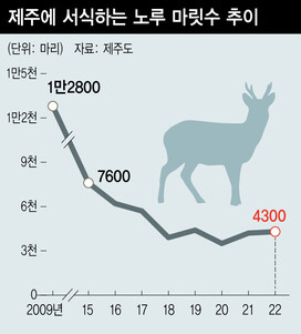  ※ 이미지를 누르면 크게 볼 수 있습니다.