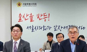 서울시의회 “저출생 대책 소득 기준 없애자”…실행력은 의문