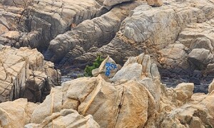 울산 대왕암공원 ‘바다 남’ 낙서범 붙잡혀…“가족 액운 털어내려고”