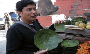 [어눕 쿠마르 구룽] 한국에서 돌아온 민수씨