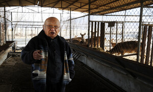 경찰도 경찰서장도 허위 자백