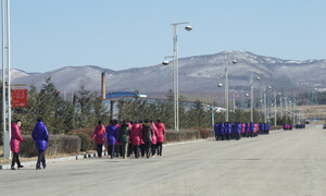 경계 위에 선 그들, 국적은 있어도 조국은 없다