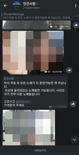 조주빈(24)씨가 고액 유료회원을 대상으로 운영했던 일대일 비밀 채팅방 화면 갈무리.