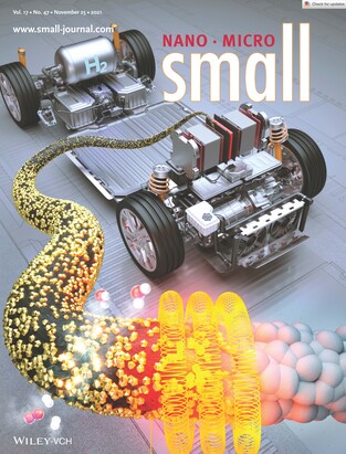 &nbsp; &nbsp; &nbsp;국제전문학술지 스몰(Small) 표지. 숙명여대 제공