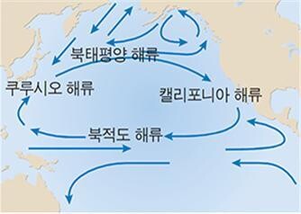 태평양 아열대 순환 해류. 기상청 제공