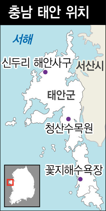  ※ 이미지를 누르면 크게 볼 수 있습니다.