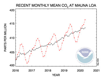 미국기상청에서 관측한 하와이 마우나로아 이산화탄소 월평균 농도의 최근 변화(빨간 선).