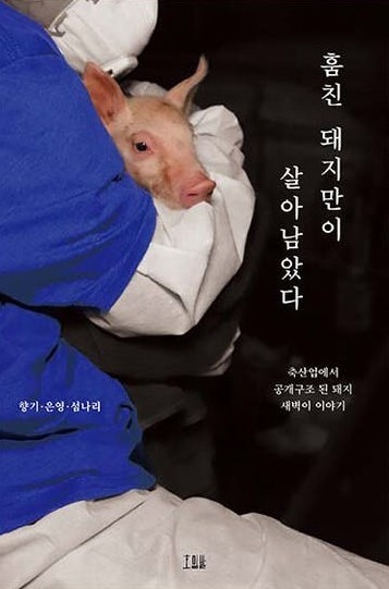 ‘훔친 돼지만이 살아남았다’