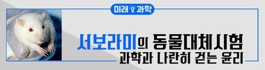 엑셀러레이트 공동창립자