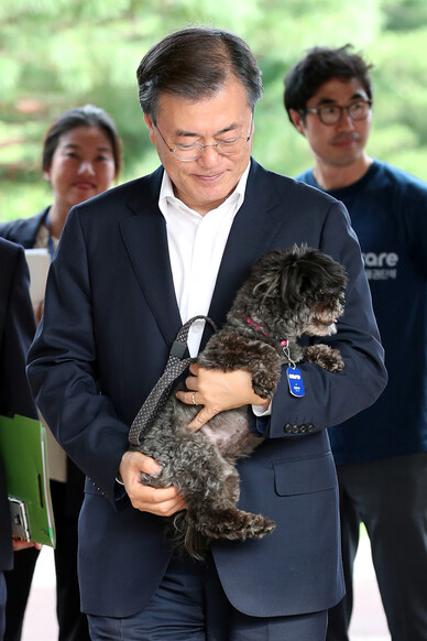 문재인 대통령은 대선 후보 시절 당선되면 유기견을 입양하겠다고 밝혔고, 당선된 뒤인 2017년 7월26일 유기견 ‘토리’를 입양했다. 사진 청와대