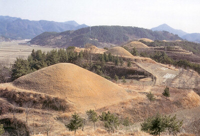 유네스코 세계문화유산 등재를 추진중인 경남 함안 도항리 가야고분군 전경. 문화재청 제공