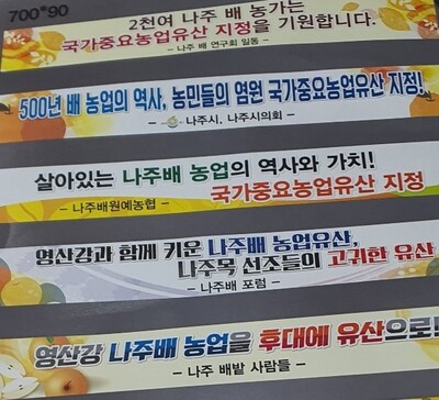 나주배 국가중요농업유산 지정을 위해 나주시·나주시의회·나주배밭사람들·나주배원예농협·나주배포럼 등 민관이 힘을 모아 캠페인을 벌이고 있다. 사진 나주시 제공