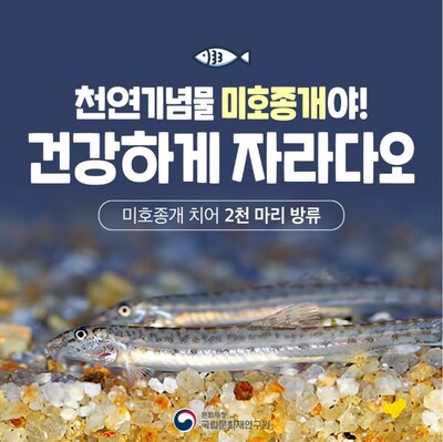 국립문화재연구원 제공