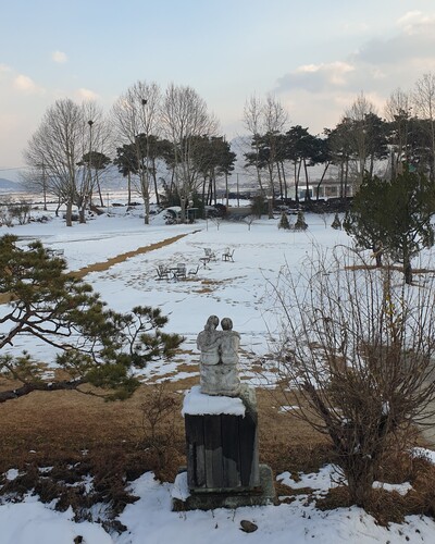 지난해 12월28일 집필실에서 찍은 앞마당 사진. 이때 벌써 까치 둥지는 두 개밖에 없다. 사진 김탁환