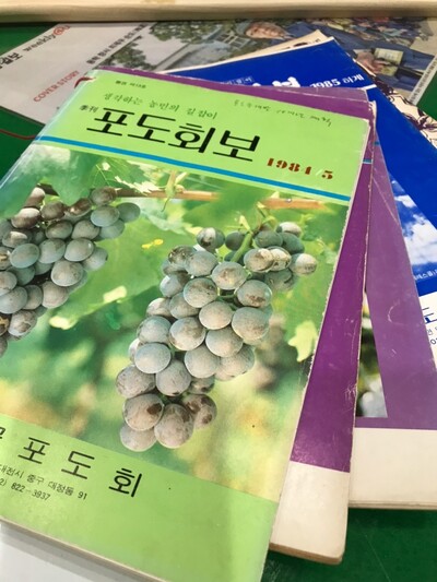 항보 선생이 1980년부터 편집위원장을 맡아 내는 잡지 &lt;포도&gt; 과월호.