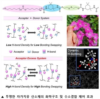 &nbsp; &nbsp; &nbsp; &nbsp; &nbsp; &nbsp; &nbsp; &nbsp; &nbsp; 투명한 자가치유 신소재의 화학구조 및 수소결합 제어 효과.서강대 제공