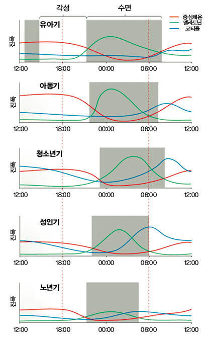 생애주기에 따른 멜라토닌 분비 행태. 초록색 선이 멜라토닌 분비 곡선이다. 청소년기 멜라토닌 분비 행태가 유년기에 비해 뒤로 밀려난 것이 보인다. ibric.org 생애주기에 따른 멜라토닌 분비 행태. 초록색 선이 멜라토닌 분비 곡선이다. 청소년기 멜라토닌 분비 행태가 유년기에 비해 뒤로 밀려난 것이 보인다. ibric.org