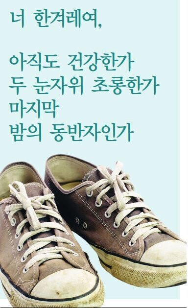 1988년 창간된 한겨레신문은 올해 5월18일 지령 1만호를 맞았다. 1만호를 기념해 독자가 보내준 축하글로 만든 당시 지면의 일부.