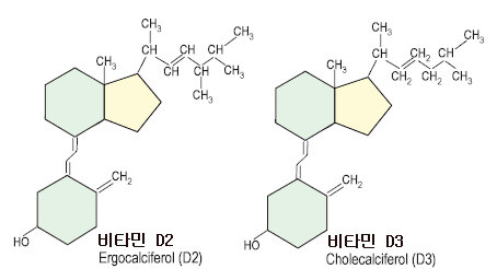 비타민 D2와 D3의 분자 구조. 위키백과