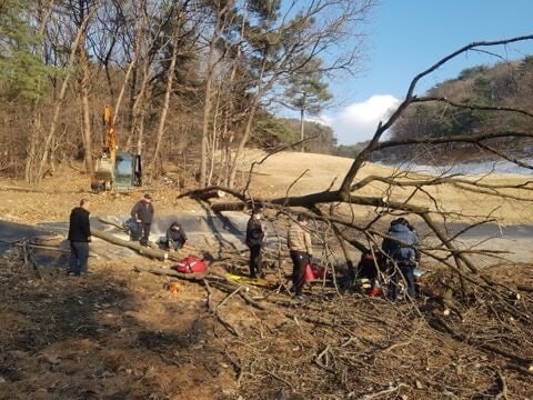 벌목 작업 사고 현장. 여주소방서 제공