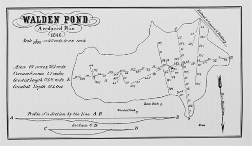 &lt;월든&gt;(1845)의 ‘겨울 호수’ 편에 실려 있는 ‘월든 호수: 축소 평면도’. 돌베개 제공