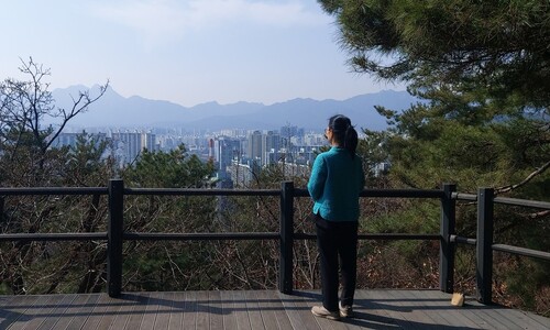 “여기가 숲이구나”…서울 20.9㎞ 치유의 숲길을 아시나요