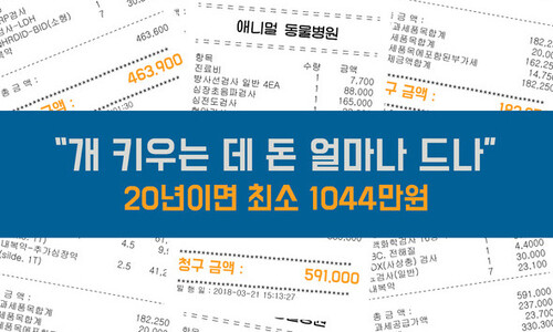 “개 키우는데 돈 얼마나 드나”