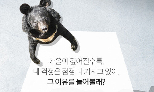 올 겨울은 어디서 자죠?
