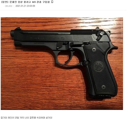 “대통령 암살하려 권총 샀다”…경찰, 인터넷 게시글에 수사 착수