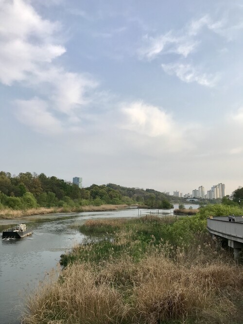 솜털처럼 아늑한 뭉게구름이 산책자를 환대한다. 광교호수공원. 사진 배정한