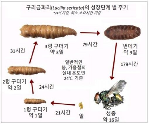 출처 : 경찰청&nbsp;