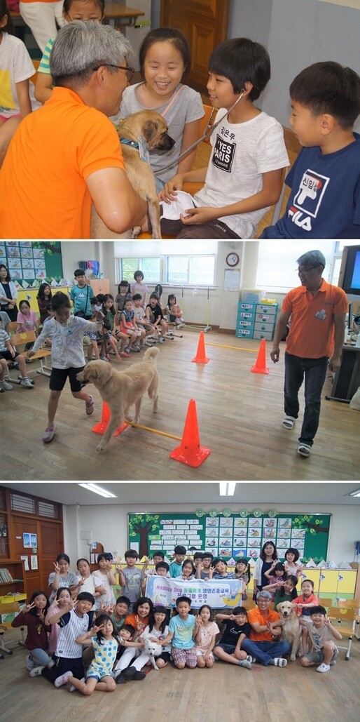 사진1. 지난 10일 경기도 여주시 점봉초교에서 진행한 ‘동물매개 생명존중 교육’ 시간에 아이들이 매개견 ‘우니’의 심장 소리를 듣고 있다. 사진2.3. 지난 7일 경기도 오산시 수청초교에서 육근창 상담사가 매개견 ‘마니’와 함께 ‘동물매개 생명존중 교육’을 진행하고 있다. 교육은 강아지와 자기소개 나누기