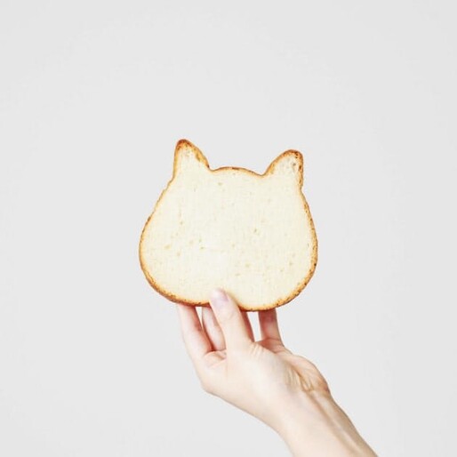 일본에서 판매되는 고양이 모양의 식빵. 네코네코쇼쿠팡 누리집 갈무리