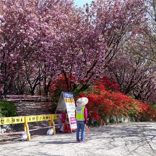 전주시는 5월까지 완산공원 꽃동산 출입을 지난해에 이어 통제한다. 사진은 지난해 통제할 때의 모습. 전주시 제공